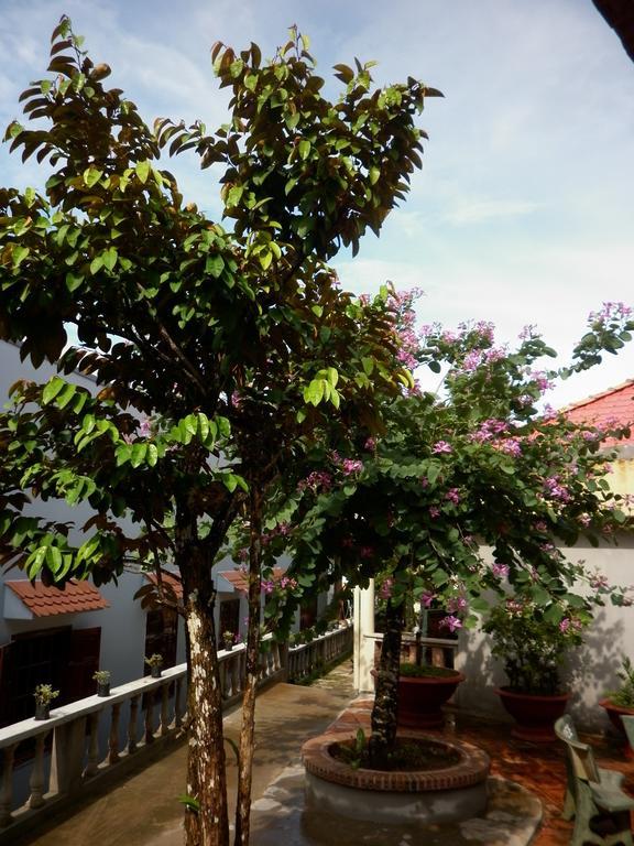 דואונג דונג The Palm Tree Guesthouse מראה חיצוני תמונה