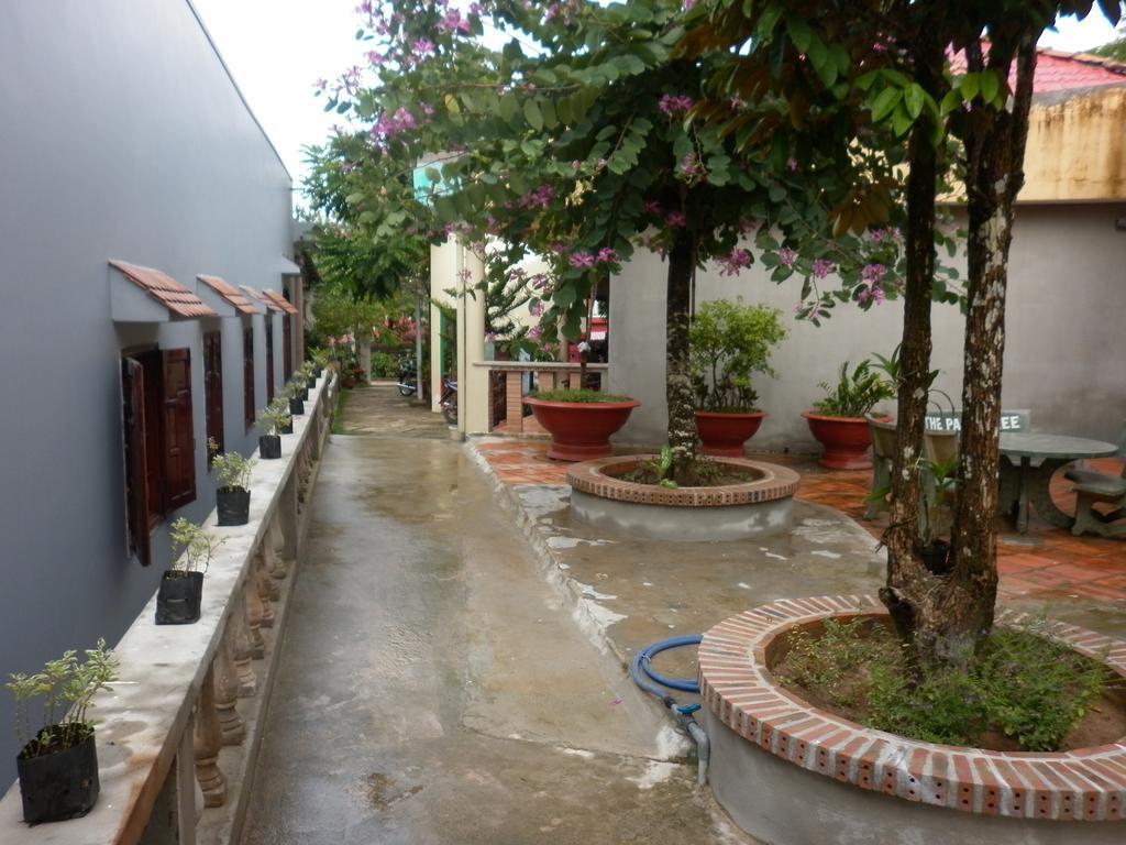 דואונג דונג The Palm Tree Guesthouse מראה חיצוני תמונה
