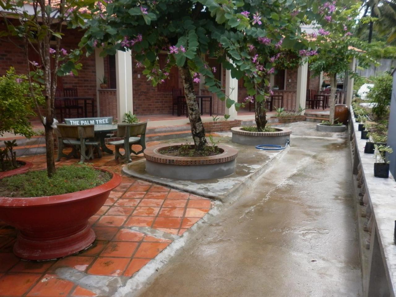 דואונג דונג The Palm Tree Guesthouse מראה חיצוני תמונה