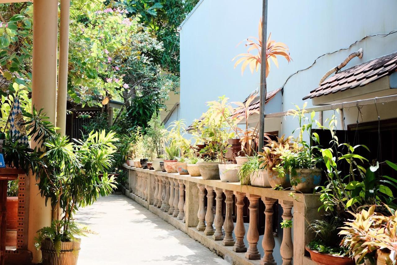דואונג דונג The Palm Tree Guesthouse מראה חיצוני תמונה